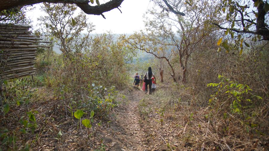Le sentier de randonnée