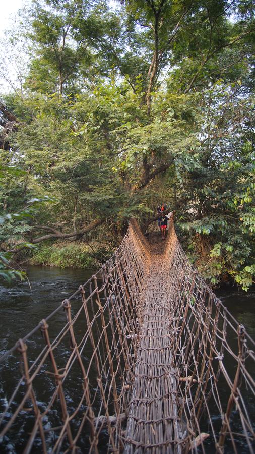 Le pont de lianes