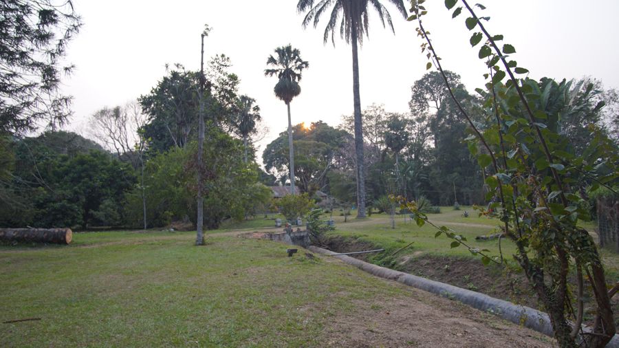 Le jardin botanique de Kisantu