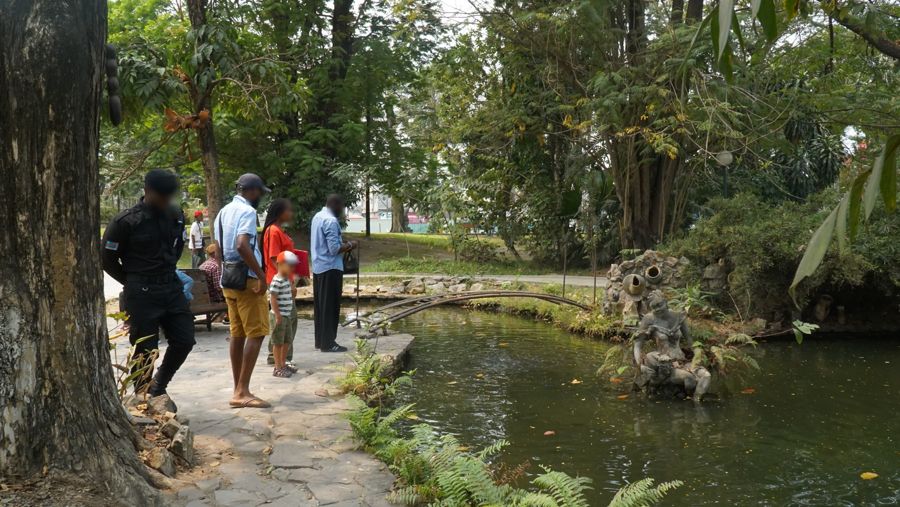 Le bassin du jardin