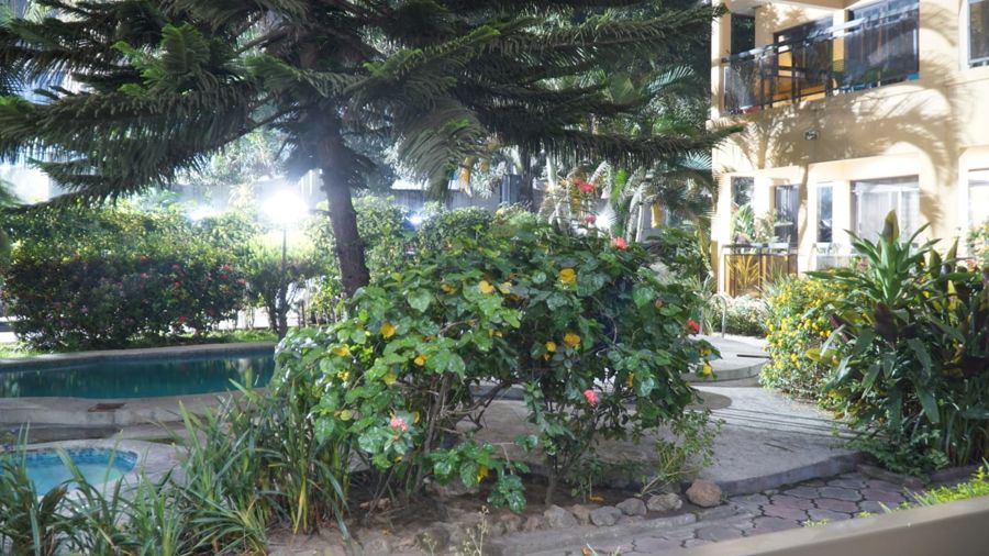 Le jardin, côté piscine